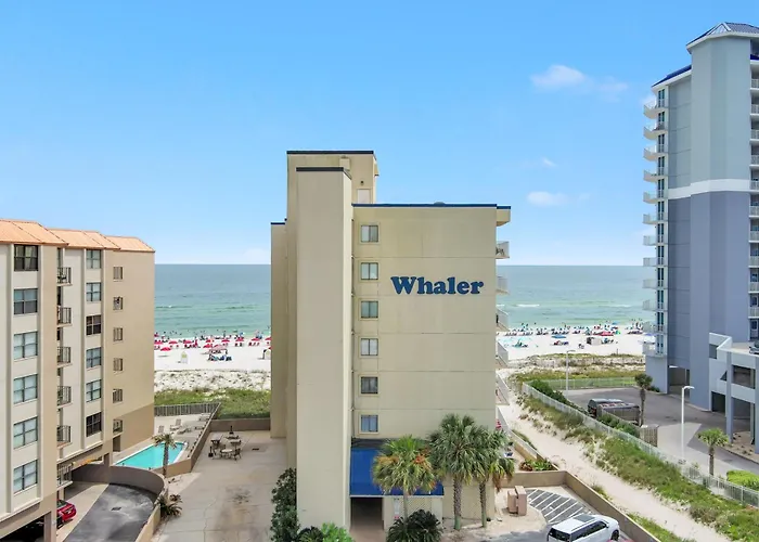 Whaler 1b Gulf Shores